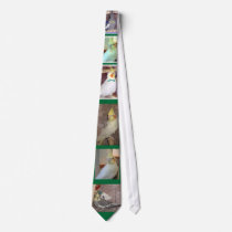 Center Cockateils ties by shielarb Center Cockateils ties
