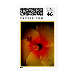 center in, love postage