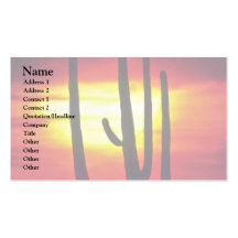 Center O The Limelight Business Card
