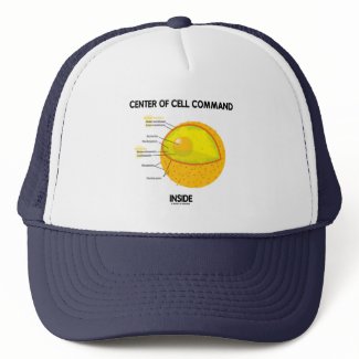 Center Of Cell Command Inside (Nucleus) hat