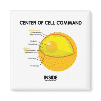 Center Of Cell Command Inside (Nucleus) magnet