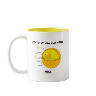 Center Of Cell Command Inside (Nucleus) mug