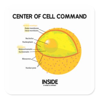 Center Of Cell Command Inside (Nucleus) sticker