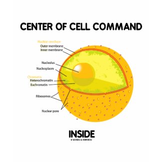 Center Of Cell Command Inside (Nucleus) shirt