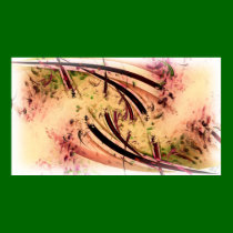 Center of the Inverse posters by csim_83 Center of the Inverse posters