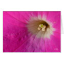 Center Stage, S Cyr cards by CyrScenes Center Stage, S Cyr cards
