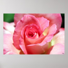 Center Stage, S Cyr Print
