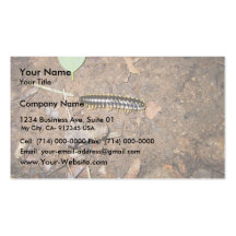 Centipede On The Soil Business Card Template