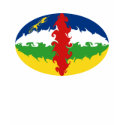 Centrafrique Gnarly Flag T-Shirt by Flagnostic Centrafrique Gnarly Flag T-Shirt