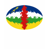 Centrafrique Gnarly Flag T-Shirt