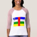 Ladies 3/4 Sleeve Raglan (Fitted)