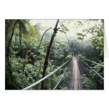 Central America, Costa Rica, Monteverde Cloud Card