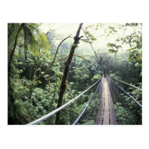 Central America, Costa Rica, Monteverde Cloud Post Card