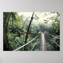 Central America, Costa Rica, Monteverde Cloud Print