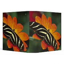 Central America, Costa Rica, Selva Verde. 4 3 Ring Binders