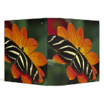 Central America, Costa Rica, Selva Verde. 4 binders