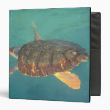 Central America, Panama, Bocas Del Torro Vinyl Binder