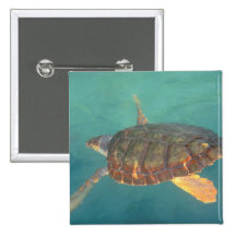Central America, Panama, Bocas Del Torro Pinback Button