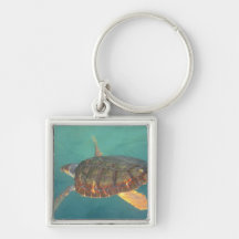 Central America, Panama, Bocas Del Torro Key Chain