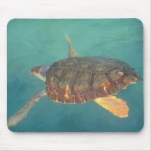 Central America, Panama, Bocas Del Torro Mousepad