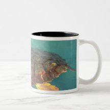 Central America, Panama, Bocas Del Torro Mugs