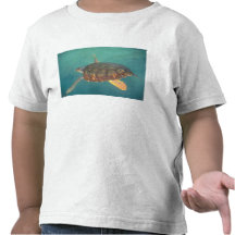 Central America, Panama, Bocas Del Torro T-shirt