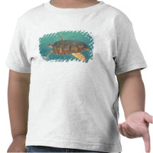 Central America, Panama, Bocas Del Torro Tee Shirts