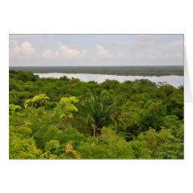 Central America Rain Forest in Belize Cards