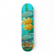 Central American New World Cichlids Skateboard