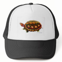 Central American Wood Turtle hats