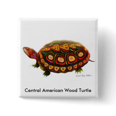 Central American Wood Turtle Pin by twopurringcats