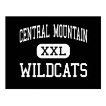 Central Mountain - Wildcats - High - Mill Hall Post Card
