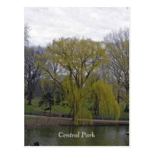 Central Park 003 Post Card
