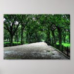 Central Park After Rain, Empty posters