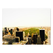 Central Park and the New York City Skyline Photograph