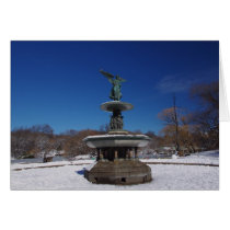 Central Park Angel cards