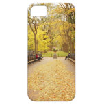 Central Park Autumn Leaves iPhone 5 Case
