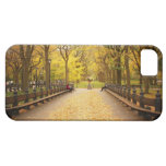 Central Park Autumn Leaves iPhone 5 Cover