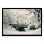 central park bridge central park bridge