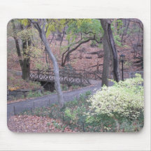 Central Park Bridge Mouse Pad