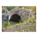 Central Park Bridge posters