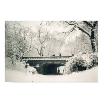 central park bridge posters