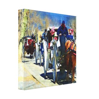 Central Park wrappedcanvas