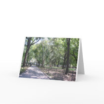 Central Park cards