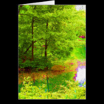 Central-Park cards