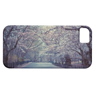 Central Park Cherry Blossom Path Iphone 5 Cases