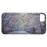Central Park Cherry Blossom Path iPhone 5 Cases