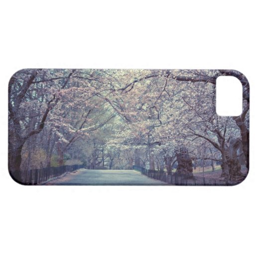Central Park Cherry Blossom Path iPhone 5 Cases