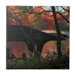 Central Park: Conversation Across From Bow Bridge Tile