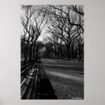 Central Park, Dave Lovegrove Poster